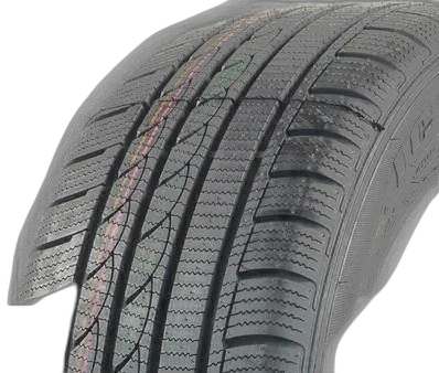 Imperial Snowdragon 3