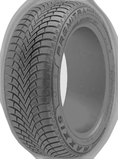 Maxxis Premitra Snow WP6