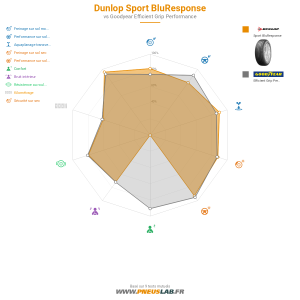 Dunlop Sport BluResponse Vignette 1200x1200
