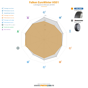 Falken EuroWinter HS01 Vignette 1200x1200