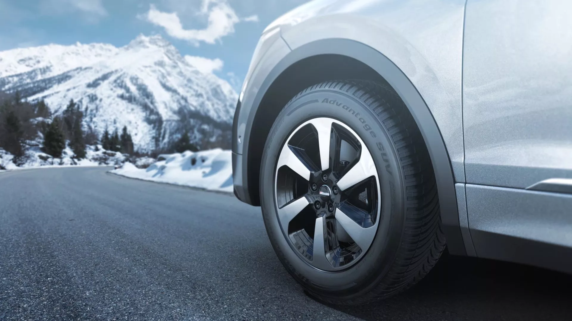 BFGoodrich Advantage All Season Image