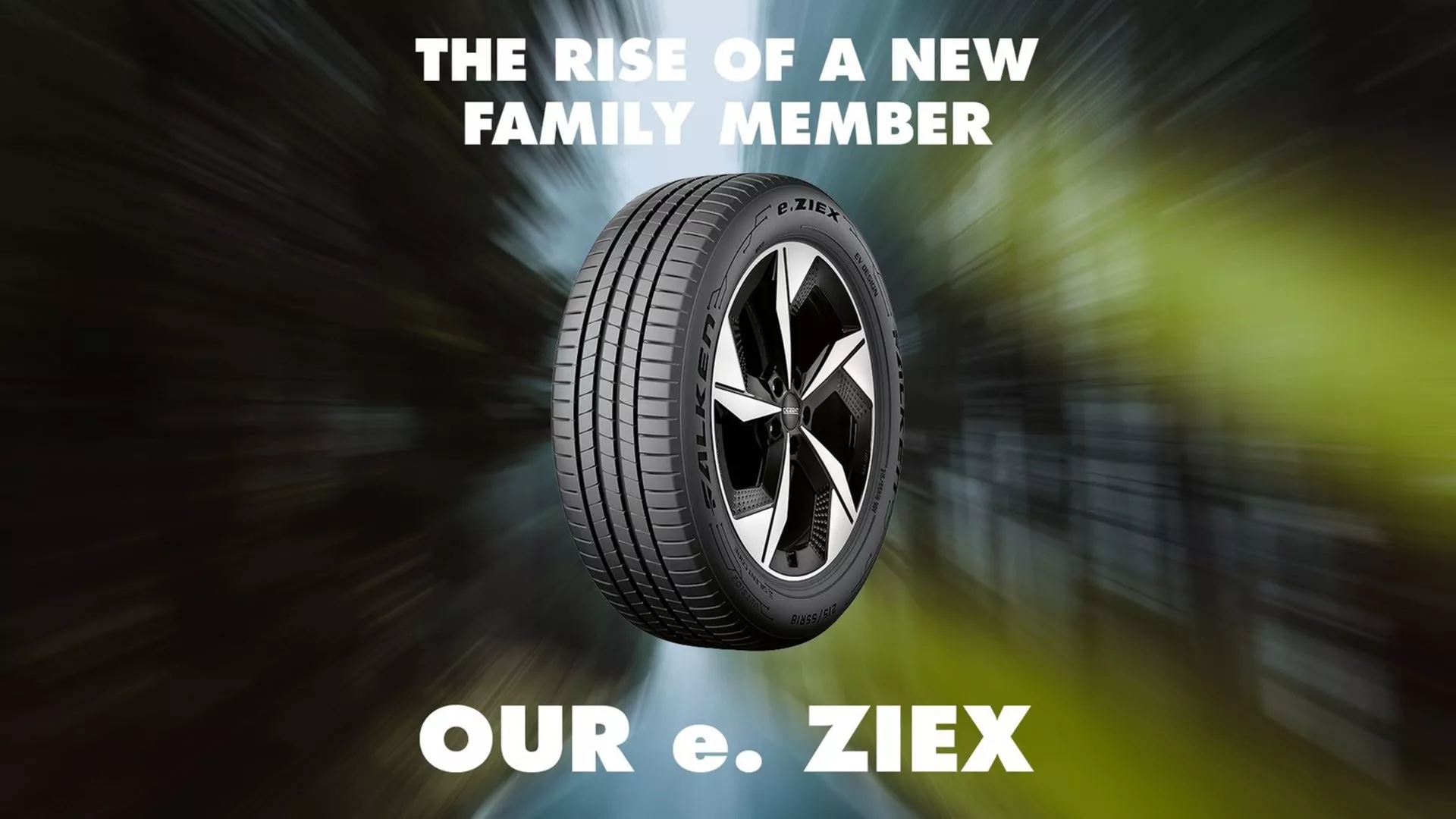Falken e.Ziex Image