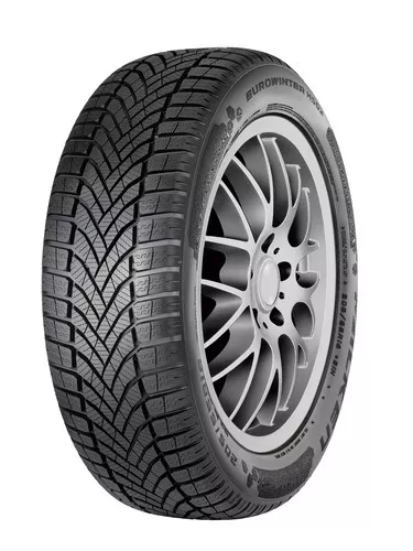 Falken EuroWinter HS02 Vignette 7170x9560