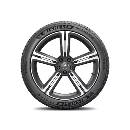 Michelin Alpin 5 Vignette 1600x1600
