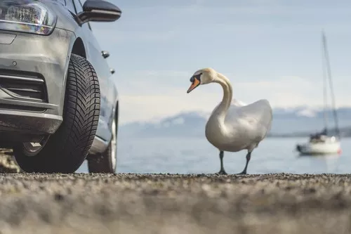 Nokian Seasonproof Vignette 9232x6155