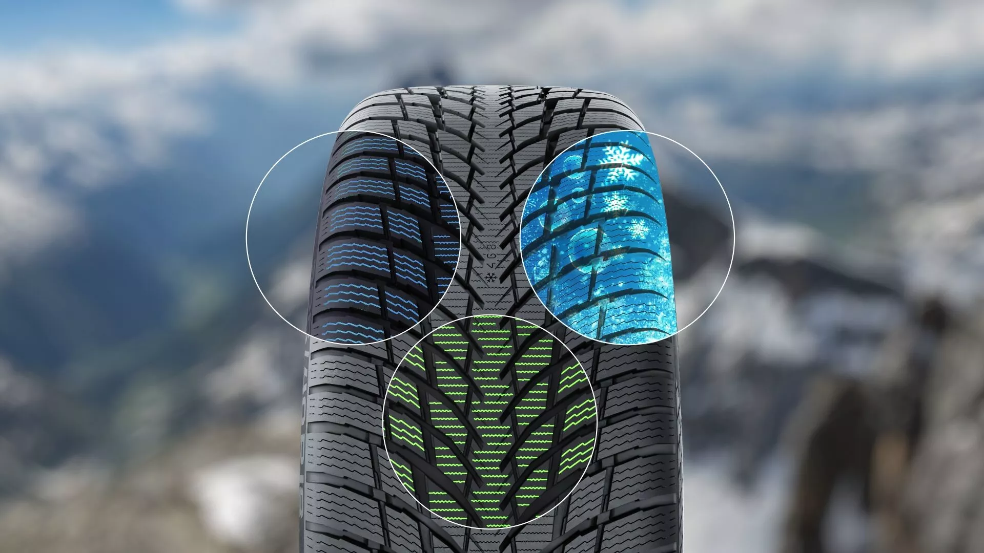 Nokian WR Snowproof P Image